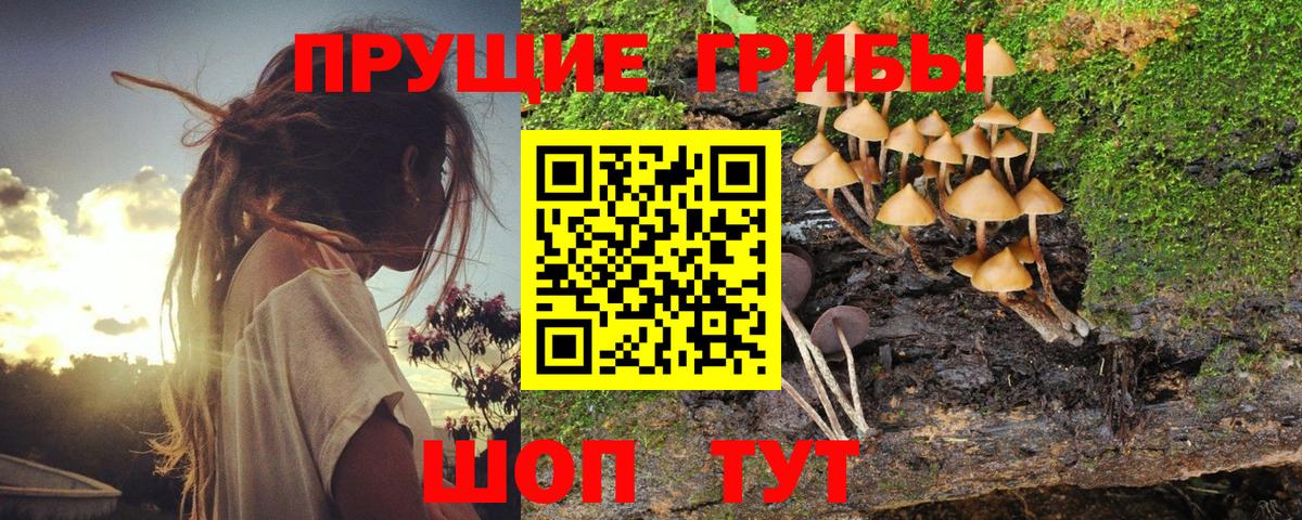 Владимир  Псилоцибиновые грибы Magic Shrooms  дарнет шоп  Вход с VPN 