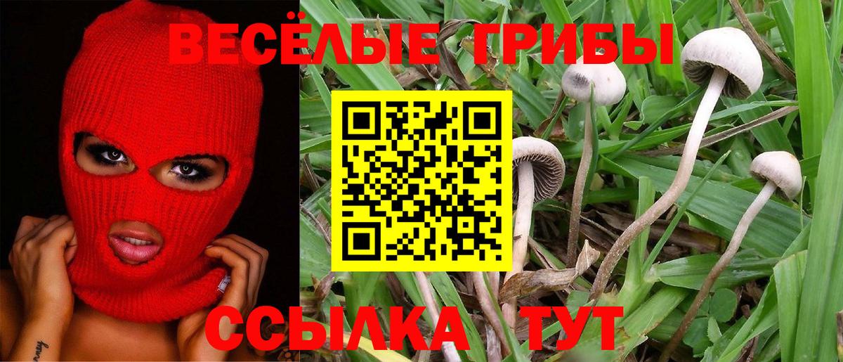 Галлюциногенные грибы MAGIC MUSHROOMS Владимир